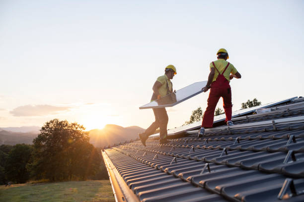 Best Roof Ventilation Installation  in Lyons, IL