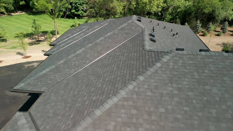 Best Flat Roofing  in Lyons, IL
