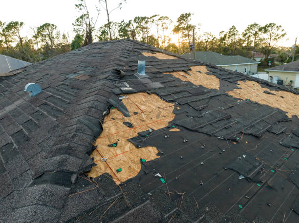 Best Wood Shake Roofing  in Lyons, IL