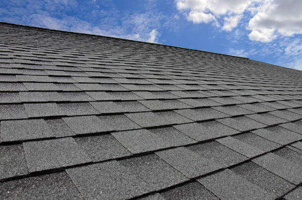 Best Asphalt Shingle Roofing  in Lyons, IL